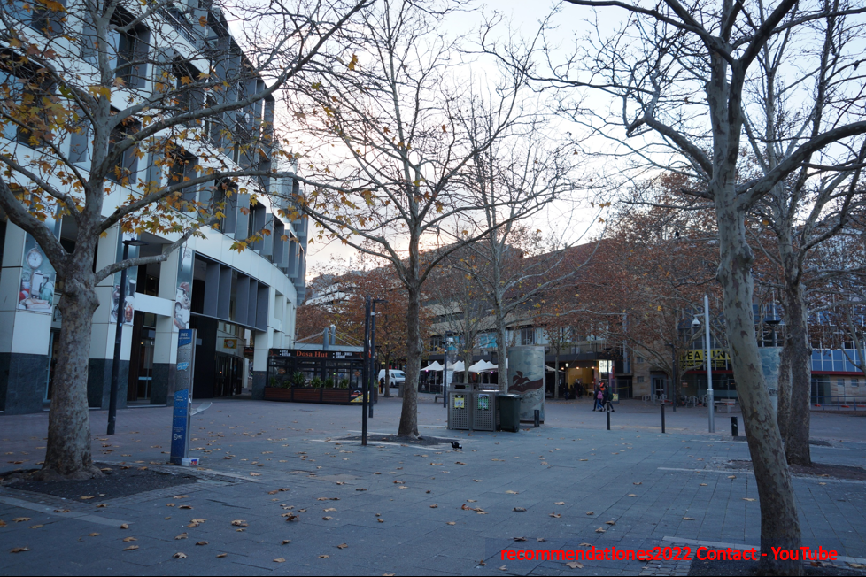 Sample photograph